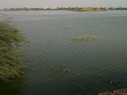 chandola lake-1