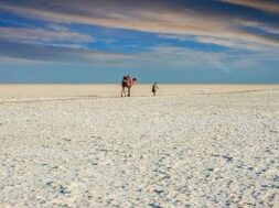 kutch rann-1