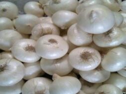white onion-1