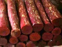 1600x960_1093277-red-sandalwood-logs