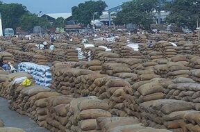 Saurashtra, Market Yards Coriander, Revenue,-1