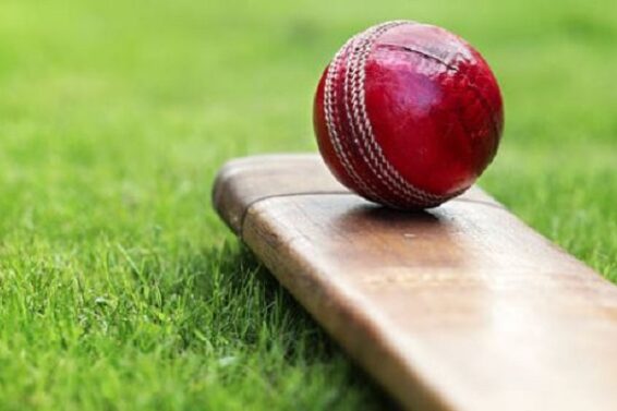 cricket Revoi.In