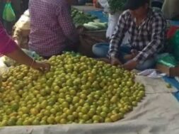 lemon prices increase-1