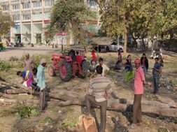 tree-cuting in ahmedabad-1