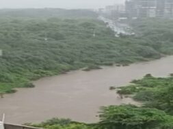 vishamitri river (2)