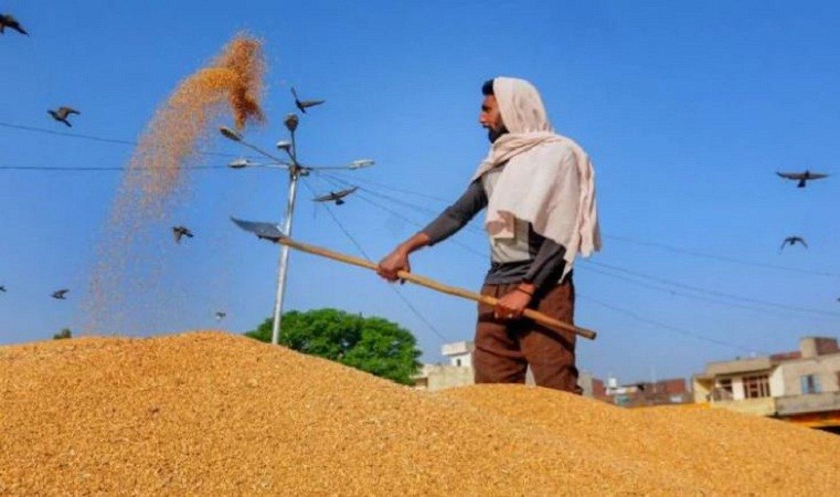 ભારતની નિકાસ વધી,હવે ઈજિપ્તમાં ભારત 10 લાખ ટન ઘઉં મોકલશે