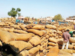 deesa market yard-1