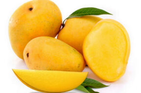 fresh-alphonso-mangoes-500×500