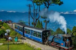 Darjeiling