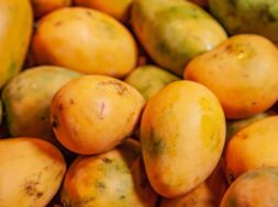 Mangoes