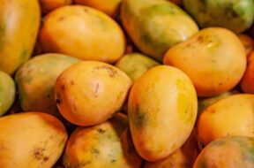 Mangoes