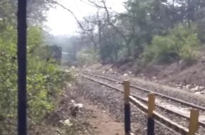 Meter gauge line in Gujarat-1