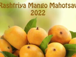 mango mahotsav