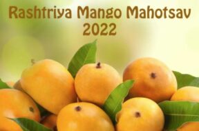 mango mahotsav