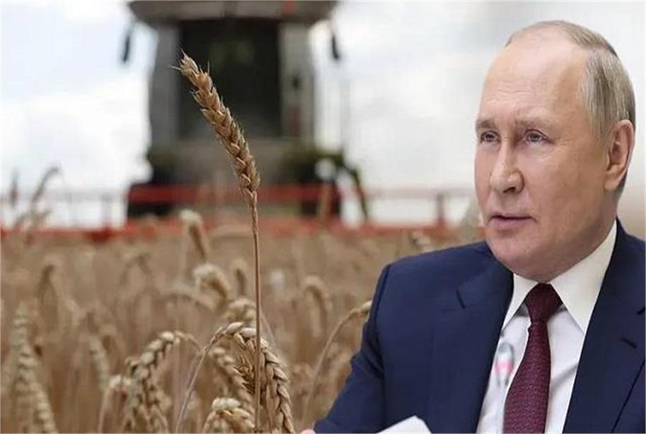 રશિયાએ ઘઉંના સંકટ માટે પશ્ચિમી દેશોને જવાબદાર ઠેરવ્યા  