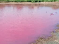pink lake
