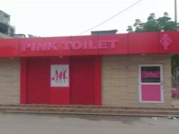 pink toilets-22