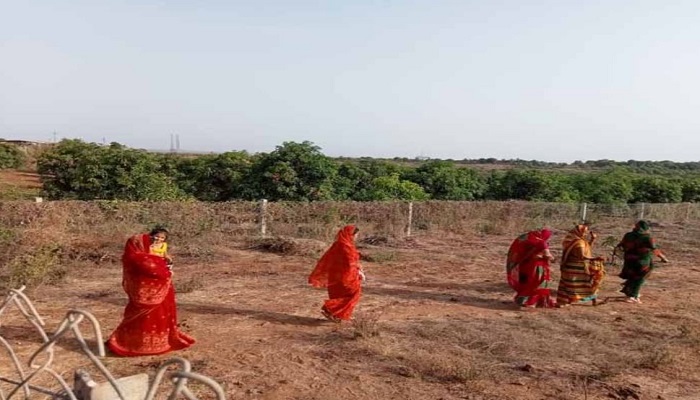 ભાવનગરના મીઠી વિરડી ન્યૂક્લિયર પ્લાન્ટના સ્થળે વાવેલા 700  વૃક્ષોની માવજત ગ્રામજનો કરી રહ્યા છે