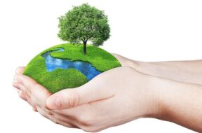 world-environment-day-2022-its-theme-history-and-some-interesting-fact