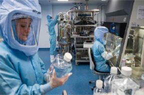 2022_7image_16_25_284980432virus-ll