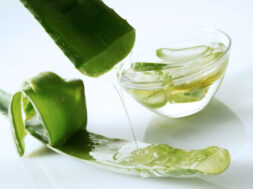 Aloe_Vera_732x549-thumbnail-1