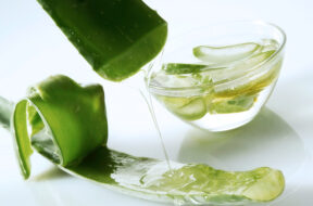 Aloe_Vera_732x549-thumbnail-1