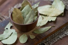 Bay-Leaf-Featured-Image-2-1280×720