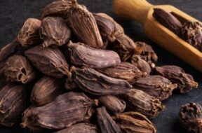 black-cardamom-kali-elaichi-500×500