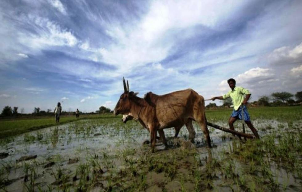 ગુજરાતમાં વાવાઝોડાને લીધે પડેલા વરસાદને કારણે ખેડુતોએ વાવણીના કર્યા શ્રીગણેશ