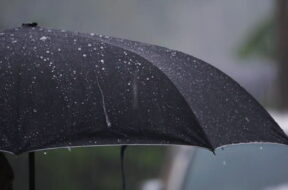 Slow Motion of Rain and umbrella