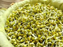કોઈ પણ કઠોળને ફણગાવવા હોય તો તેને પાણીમાં પલાળીને આ ટિપ્સને કરો ફોલો