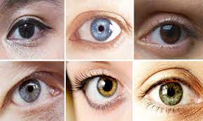 શા માટે કેટલાક લોકોની આંખો હોય છે ભૂરી, જાણો આંખોના જૂદા જૂદા રંગો હોવા પાછળના આ છે કારણો