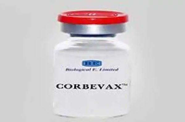 કોરોના: બુસ્ટર ડોઝના રૂપમાં Corbevax આજથી લોકો માટે ઉપલબ્ધ થશે