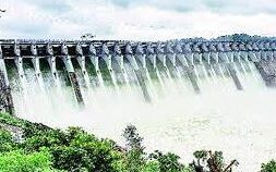 NARMADA DAM REVOI.IN