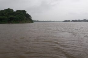 naramda river