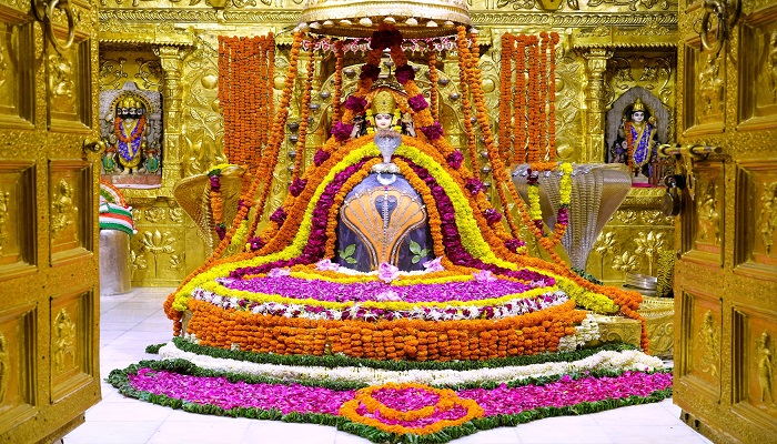 સોમનાથ મહાદેવજીને નાગ દર્શનનો શણગાર કરાયો, ભાવિકો દર્શન માટે ઉમટ્યાં
