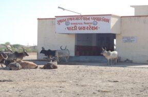 patadi st bus stand