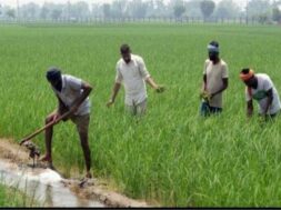 2022_10image_11_50_426534196kisan-ll