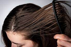 વાળને વોશ કરતા પહેલા આ વસ્તુઓને વાળમાં કરો અપ્લાય, વાળ ખરતા અને તૂંટતા થશે બંધ અને સ્ટ્રોંગ