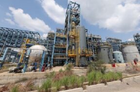 PM PLANT