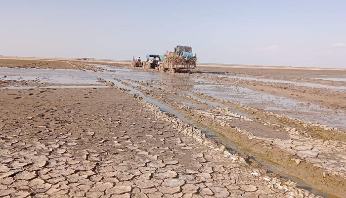 કચ્છના નાના રણમાં પાણી અને કાદવ કીચડ વચ્ચે અગરિયાઓ મીઠું પકવવાની કાળી મજુરી કરી રહ્યા છે