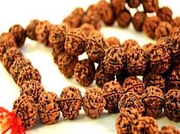 રુદ્રાક્ષની માળાના આ લાભ વિશે જાણી લો