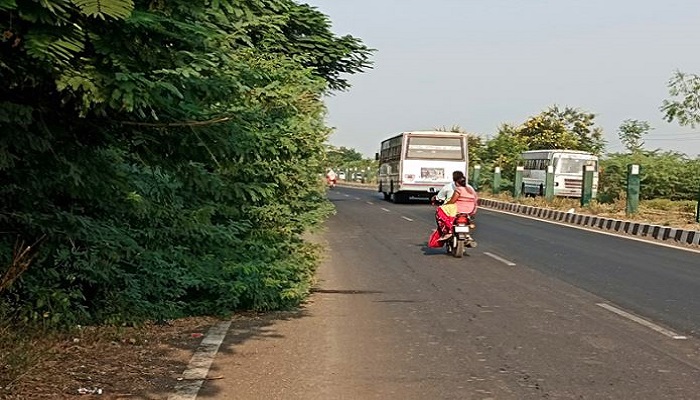 રાજકોટના જસદણ-આટકોટ રોડ પર બન્ને બાજુએ બાવળના ઝૂંડથી વાહનચાલકો પરેશાન