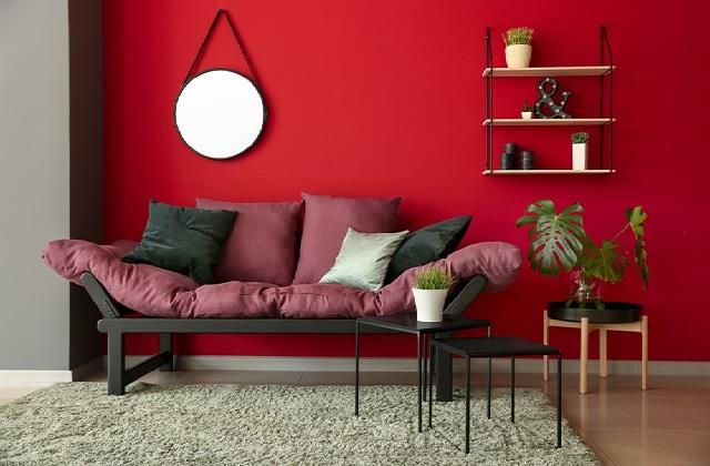 લાલ રંગ જીવનમાં ગુડલક લાવી શકે છે,ઘરની આ જગ્યાઓ પર તેનો ઉપયોગ કરવાથી Positivity આવશે