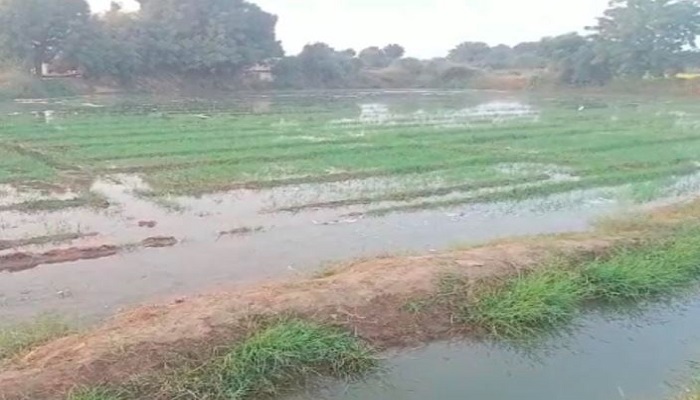 પાલનપુરના નજીક કેનાલનું  નાળું તૂટી જતાં પાણીનો વેડફાટ, ખેડુતોએ કર્યો ભ્રષ્ટાચારનો આક્ષેપ