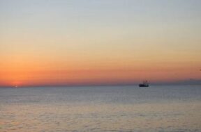 SEA REVOIINDIA