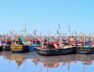 boats
