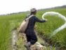 farmer