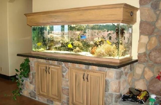 ઘરમાં સુખ-સમૃદ્ધિ લાવશે Fish Aquarium,ઘરમાં કોઈ વસ્તુની કમી નહીં રહે.