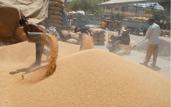 ભારતઃ ઘરેલૂ આપૂર્તિ સુનિશ્ચિત ના થાય ત્યાં સુધી ઘઉંની નિકાસ ઉપર પ્રતિબંધ ફરમાવાયો